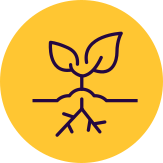 normal fertility & spermatogenesis