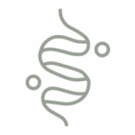 protein and glycogen metabolism 1